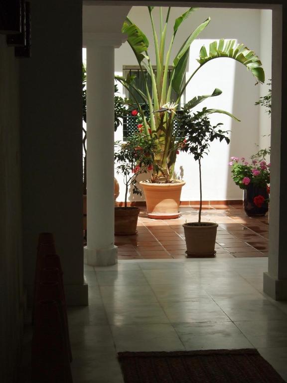Casa Atlantica Beautiful Apartments Рота Екстериор снимка