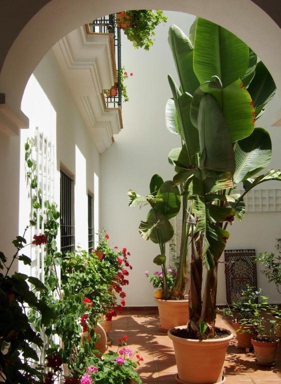 Casa Atlantica Beautiful Apartments Рота Екстериор снимка